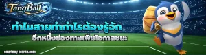เว็บ แทงบอล ออนไลน์